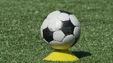 张家口赛区北京冬奥会相关项目本年度悉数竣工