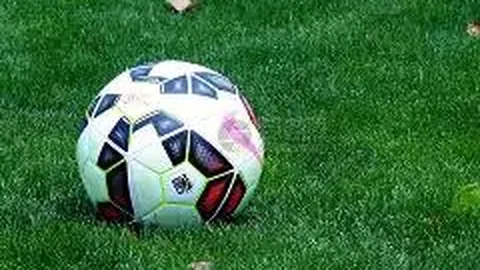 《独身乐园第8季更新时间及观看途径揭晓》