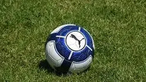 米兰体育 资讯 131129 6rb