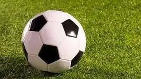 米兰体育 产品 132511 cak