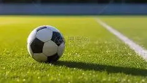 体育快讯AI汇总：11月23日体育焦点速览